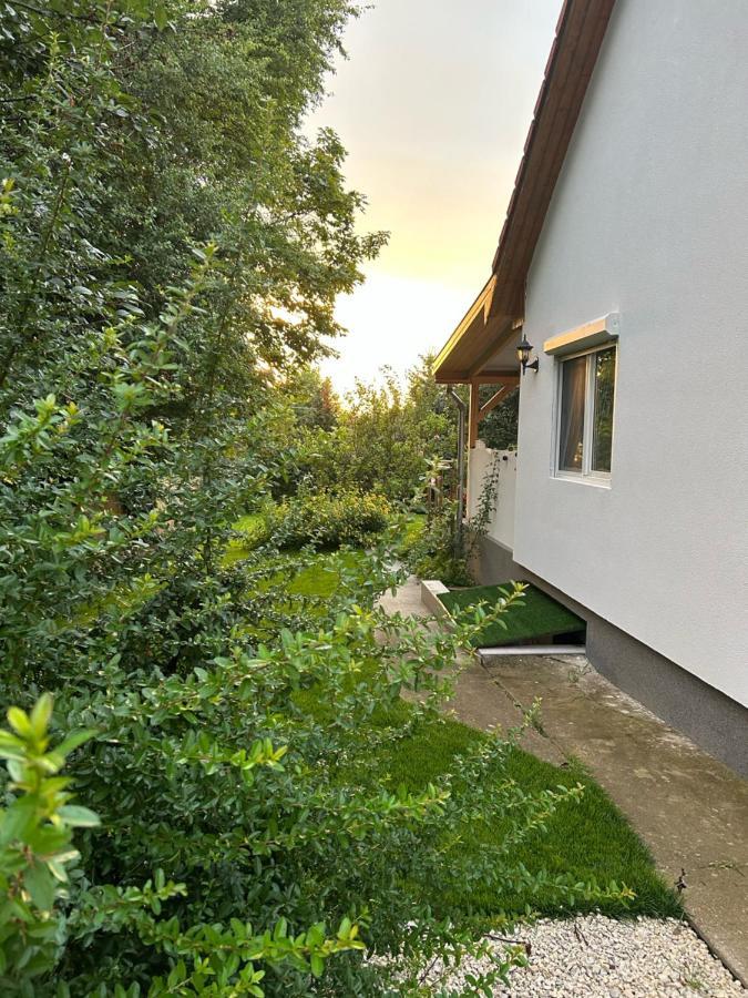 Kisvirag Vendeghaz Vila Balatonvilágos Exterior foto